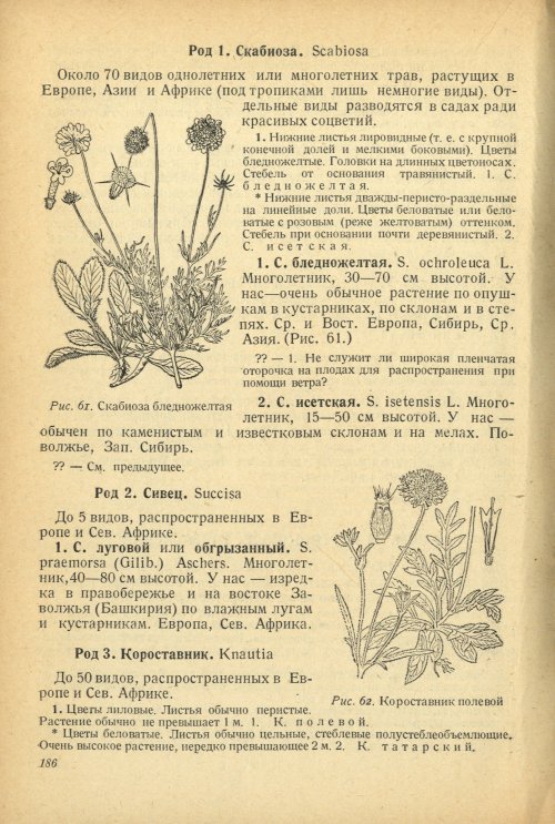 Страница 190