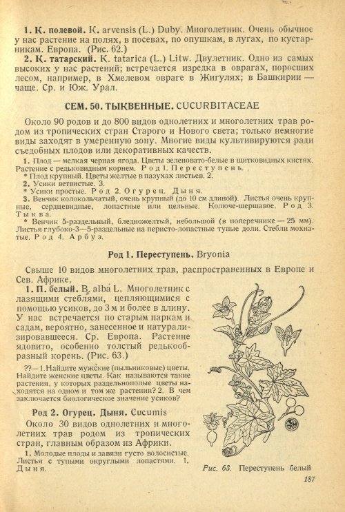 Страница 191
