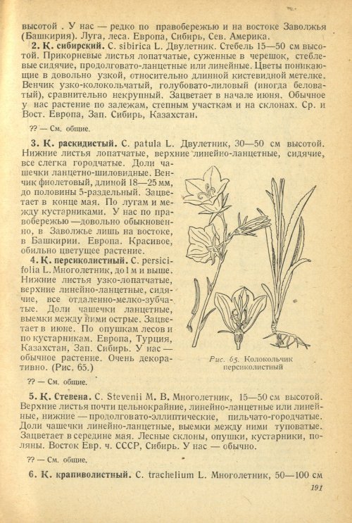 Страница 195