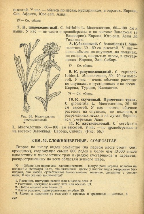 Страница 196