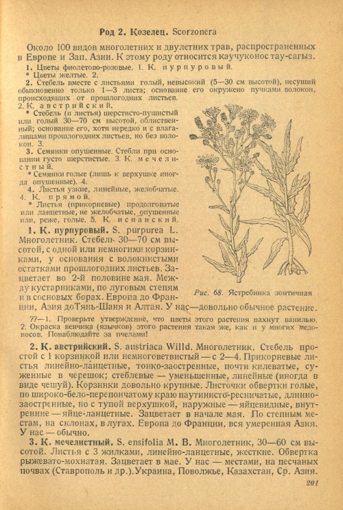 Страница 205