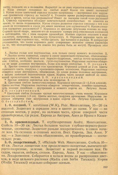 Страница 207