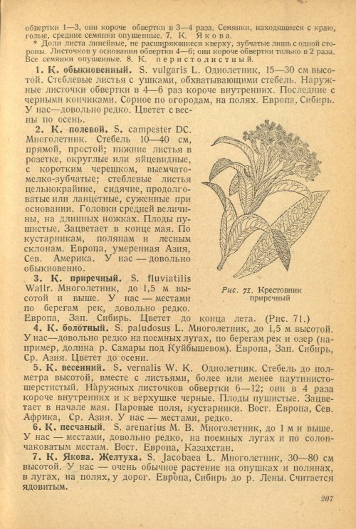 Страница 211