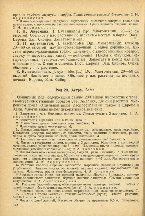 Страница 218