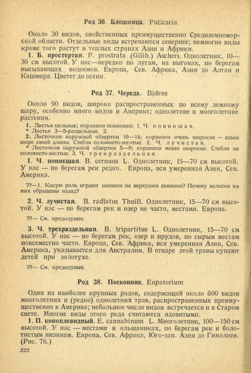 Страница 226