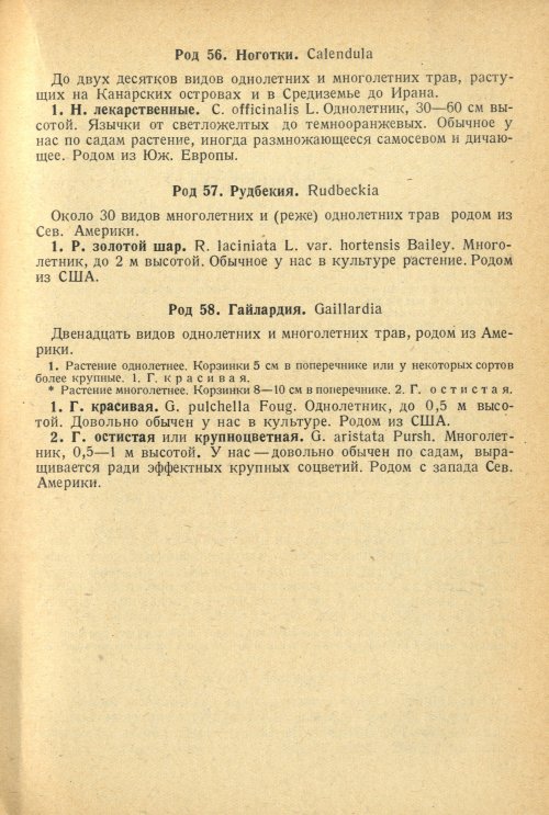 Страница 235
