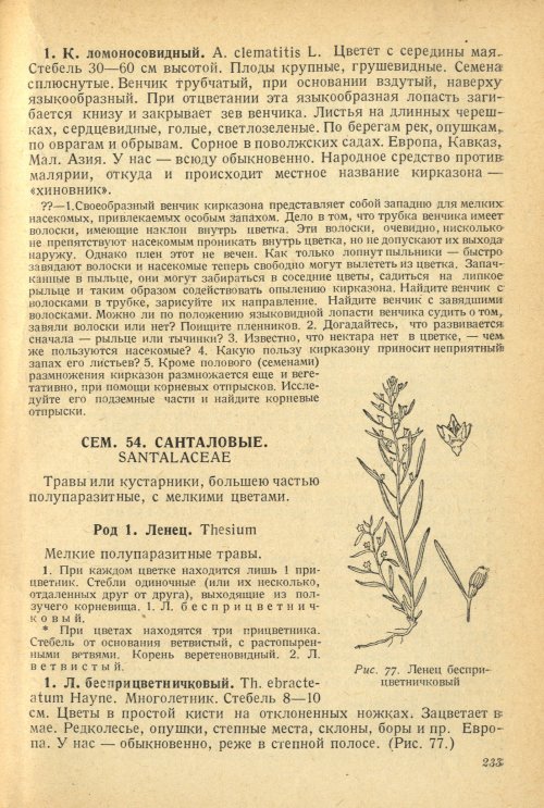 Страница 237
