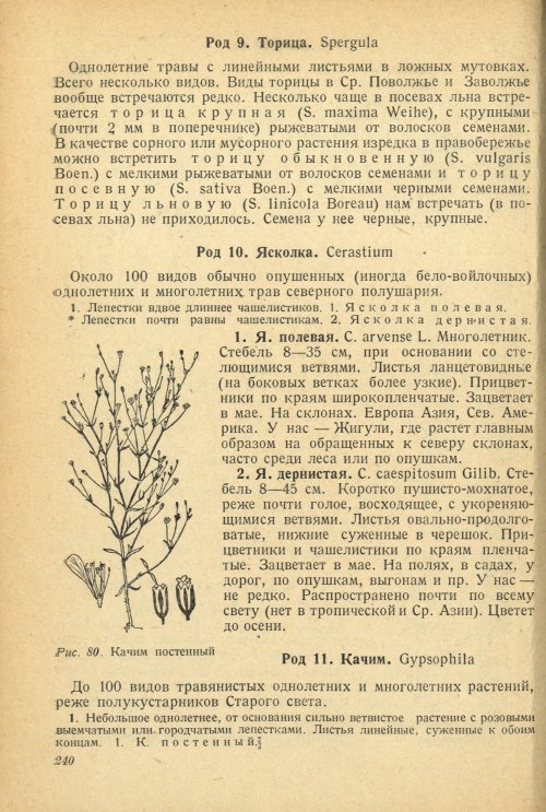 Страница 244