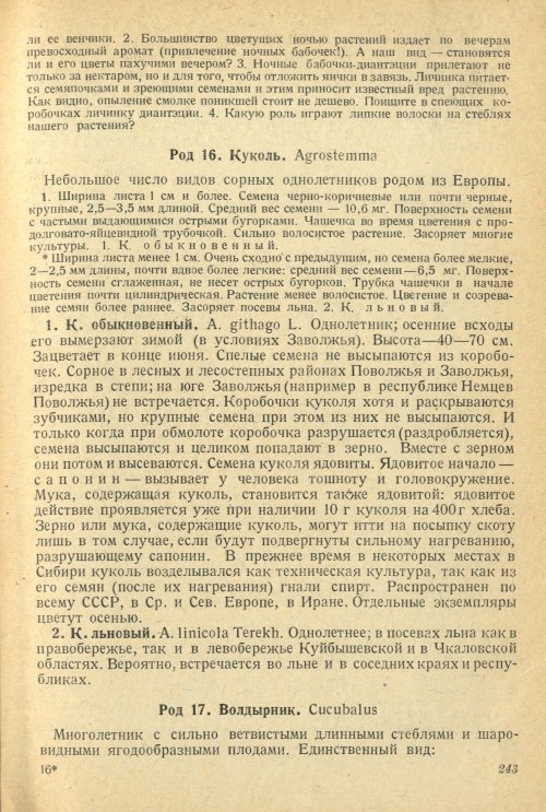 Страница 247