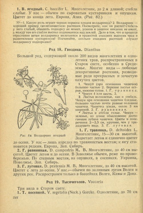 Страница 248