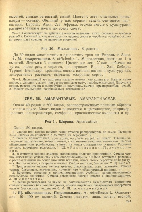 Страница 249