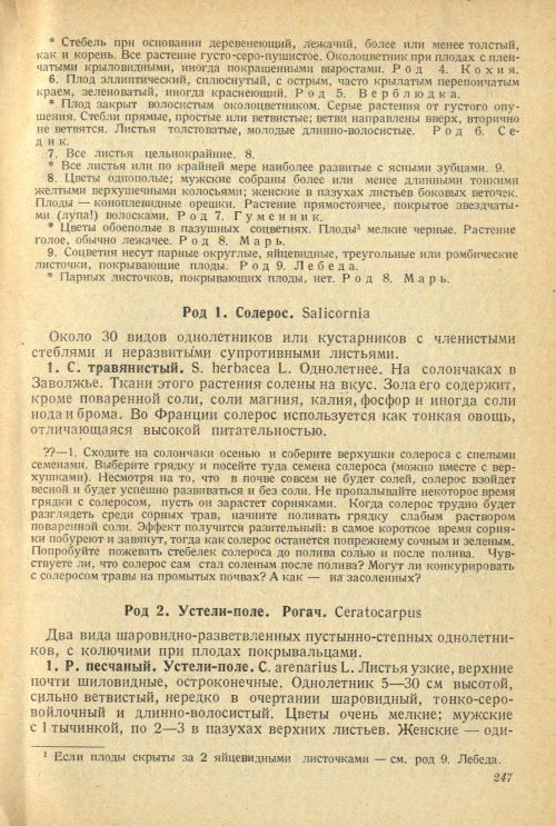 Страница 251