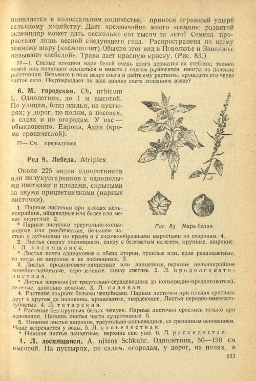 Страница 255