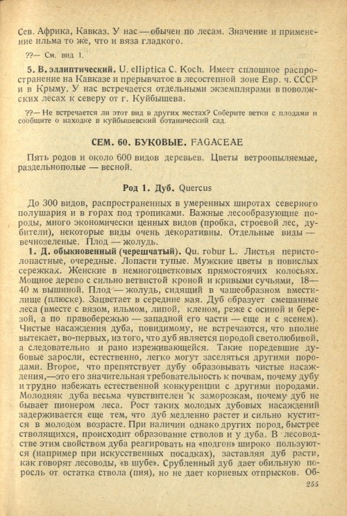 Страница 259
