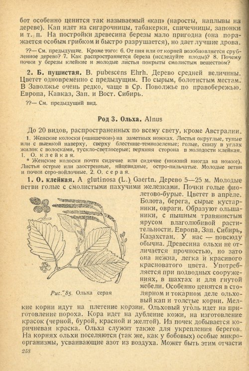 Страница 262