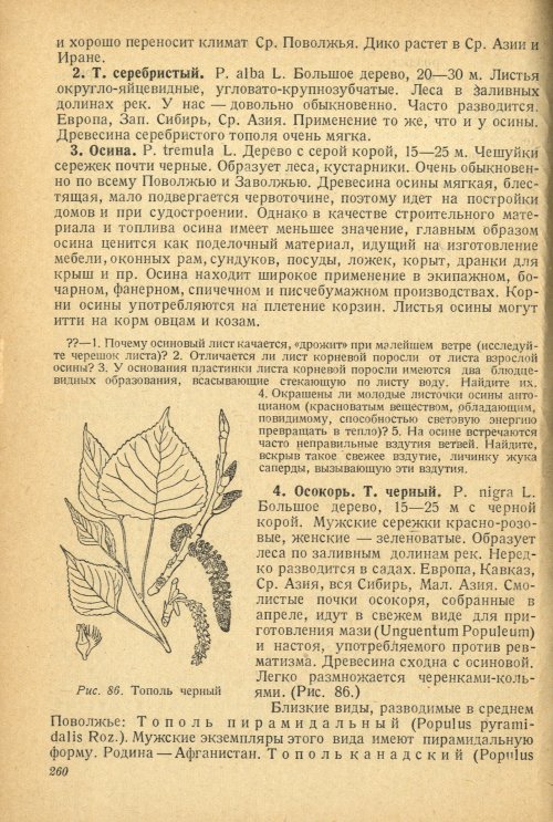 Страница 264