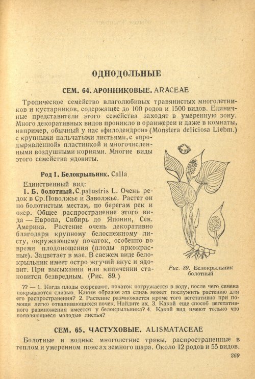 Страница 273