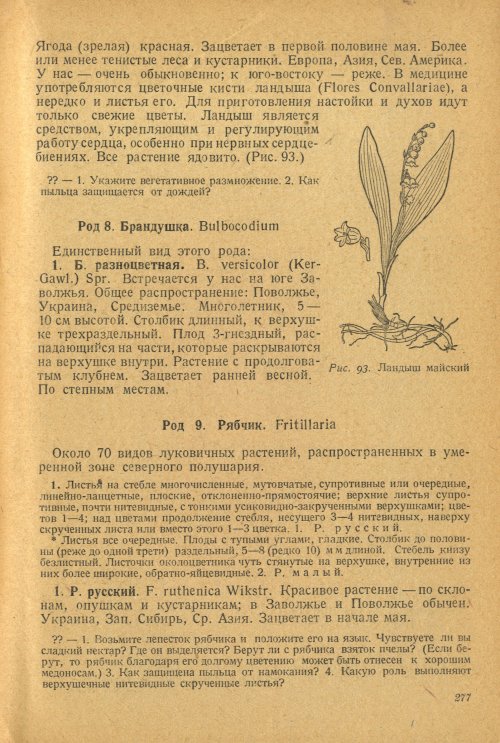 Страница 281