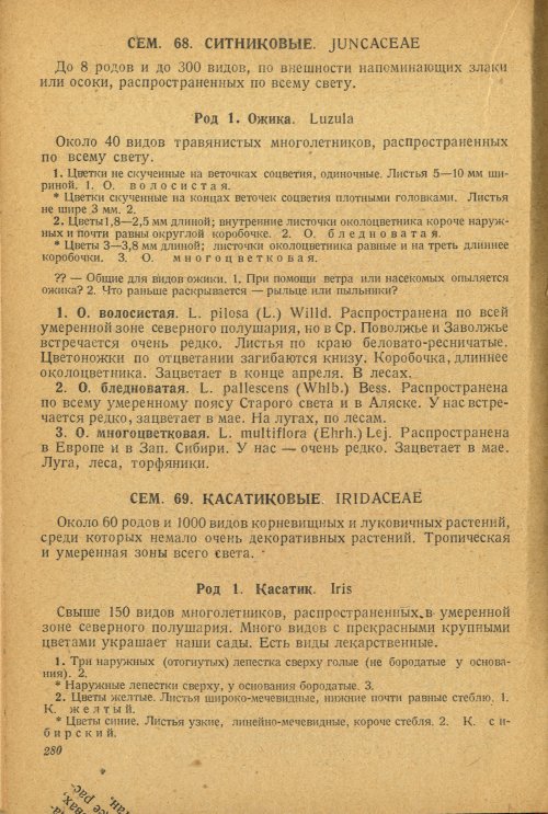 Страница 284