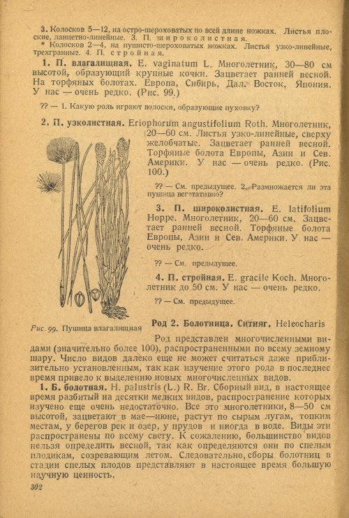 Страница 306