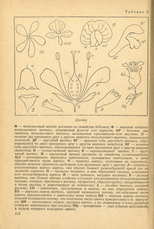 Страница 328