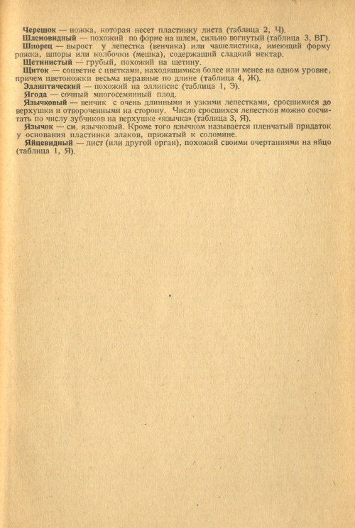 Страница 335