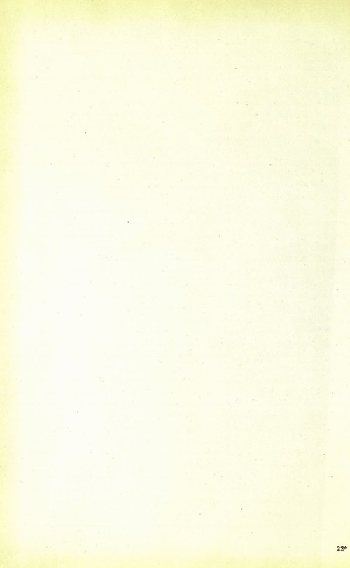 Страница 355