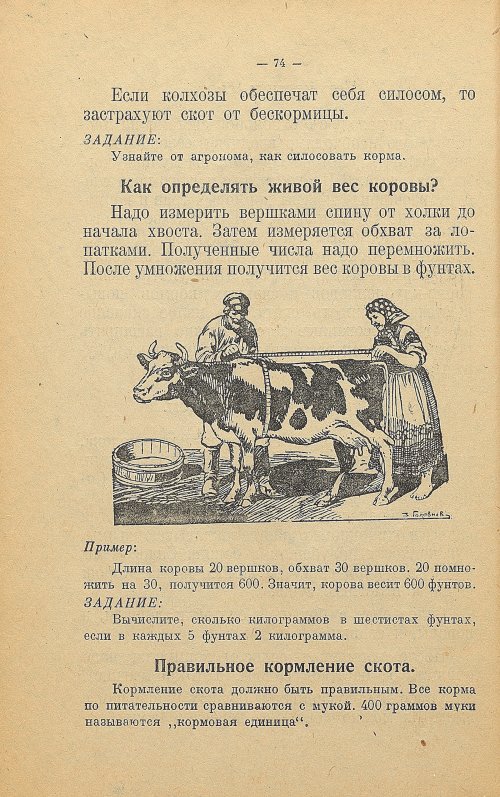 Страница 82
