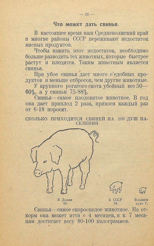 Страница 88