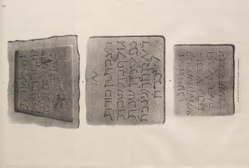 Страница 155