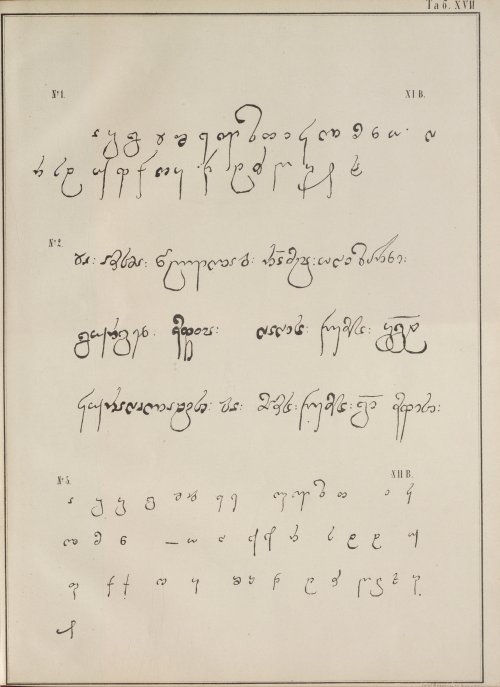 Страница 31