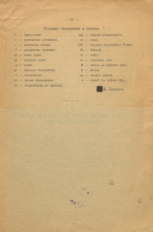 Страница 19