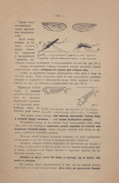 Страница 17