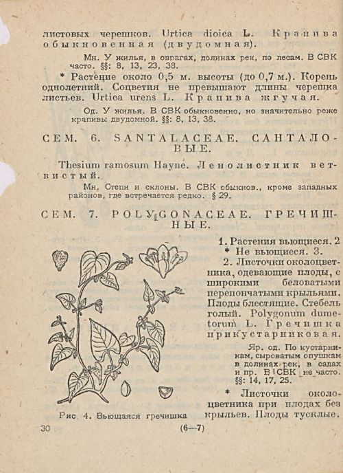 Страница 32