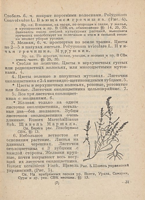 Страница 33