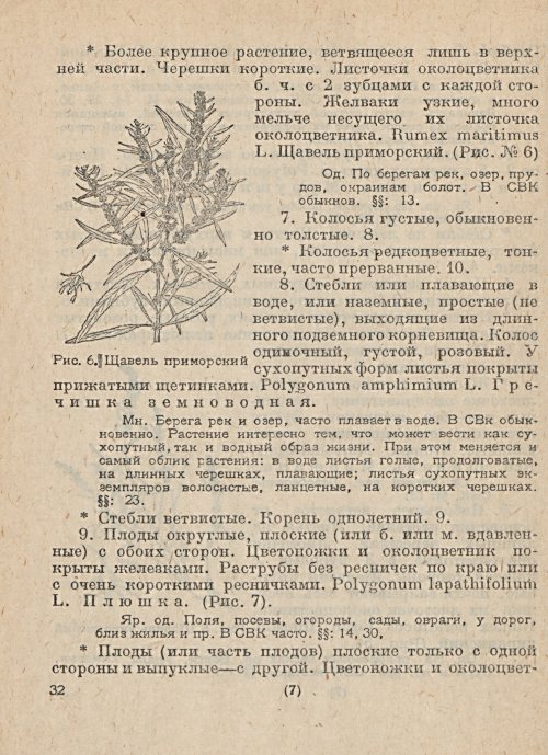 Страница 34