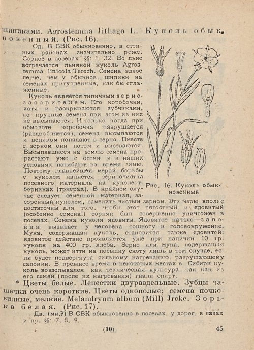 Страница 47