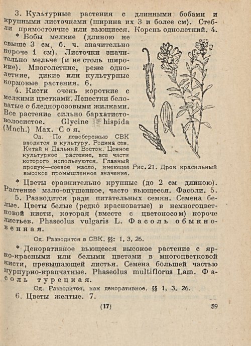 Страница 61
