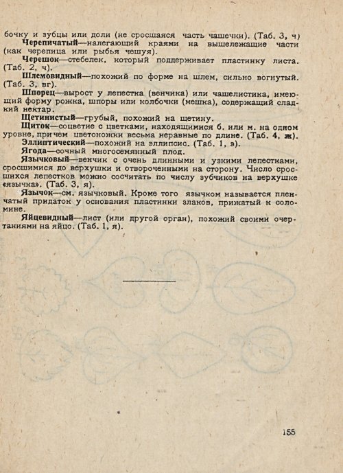 Страница 157