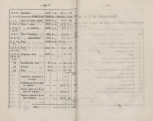 Страница 244