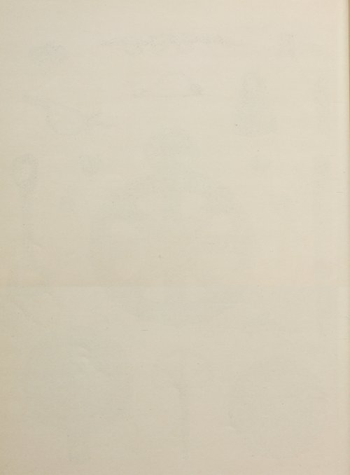 Страница 160