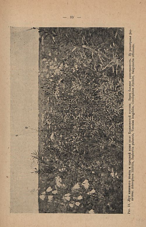 Страница 105