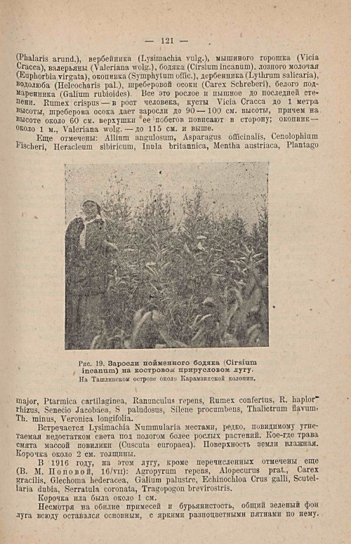 Страница 135