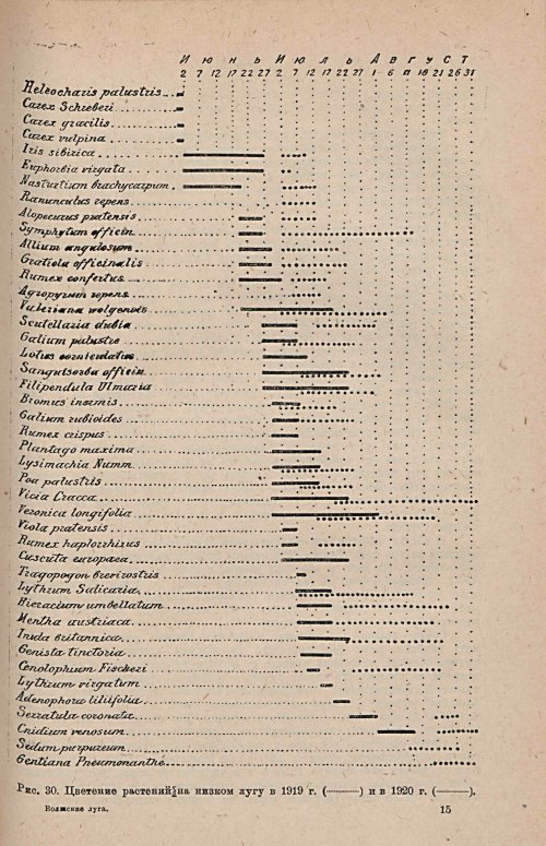 Страница 239