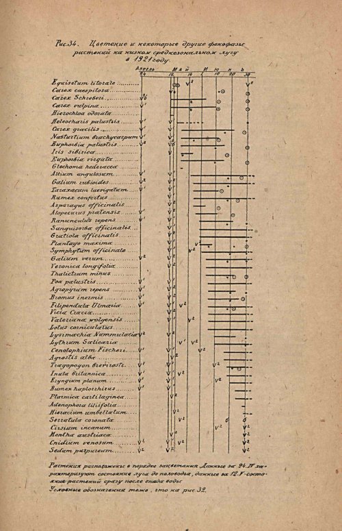 Страница 331