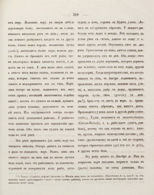 Страница 229