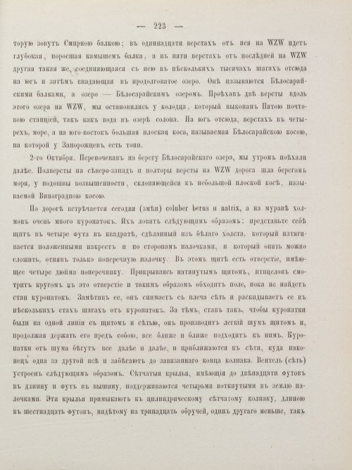 Страница 233