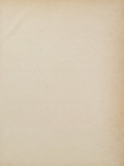 Страница 539