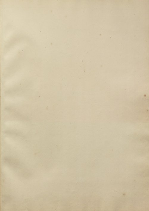 Страница 145