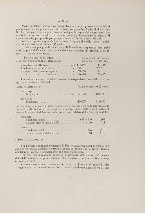 Страница 83